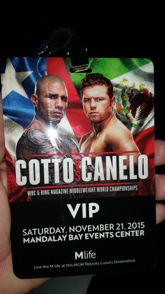 cotto vs canelo VIP